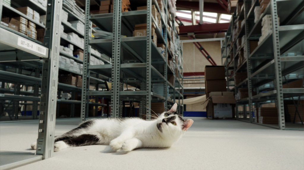 Musimy pogadać o kanale Twoja rzecz